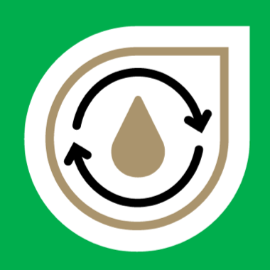 Logo SPRING